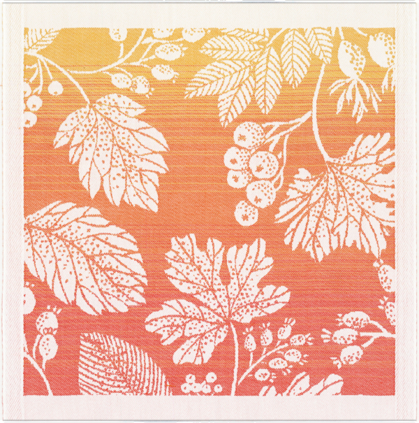 FLYTANDE ORANGE