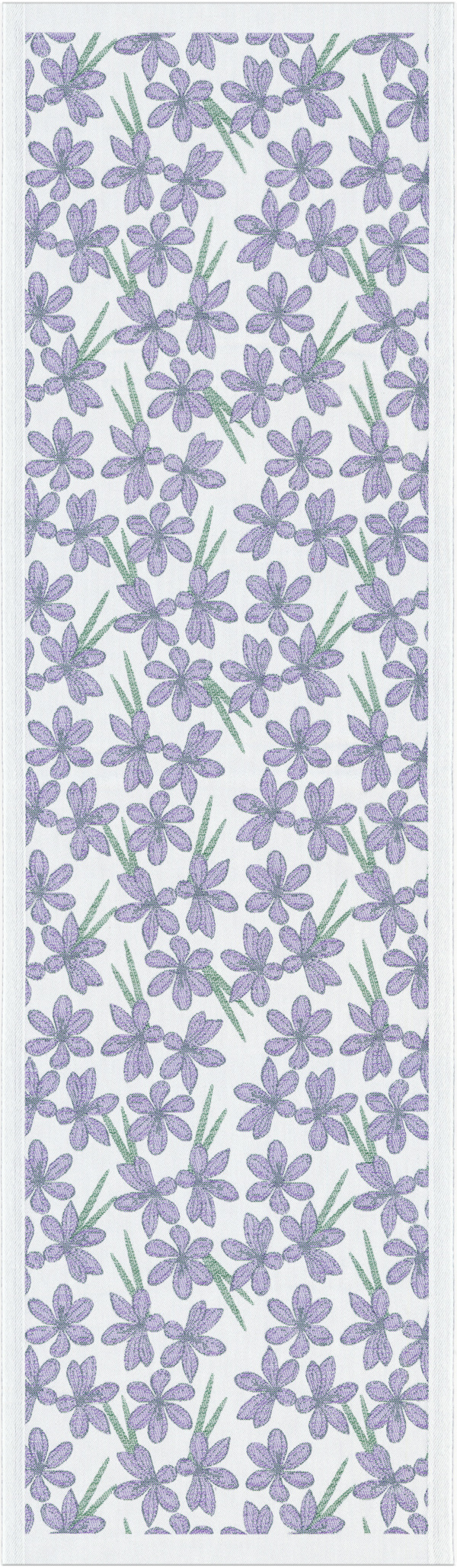 LILA KROKUS