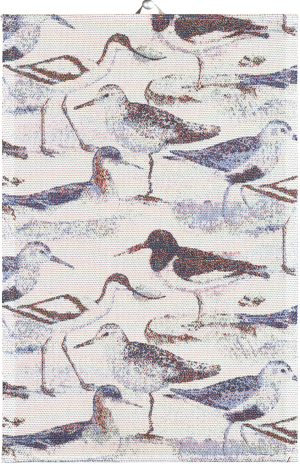 STRANDFÅGEL
